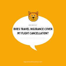 Will Travel Insurance